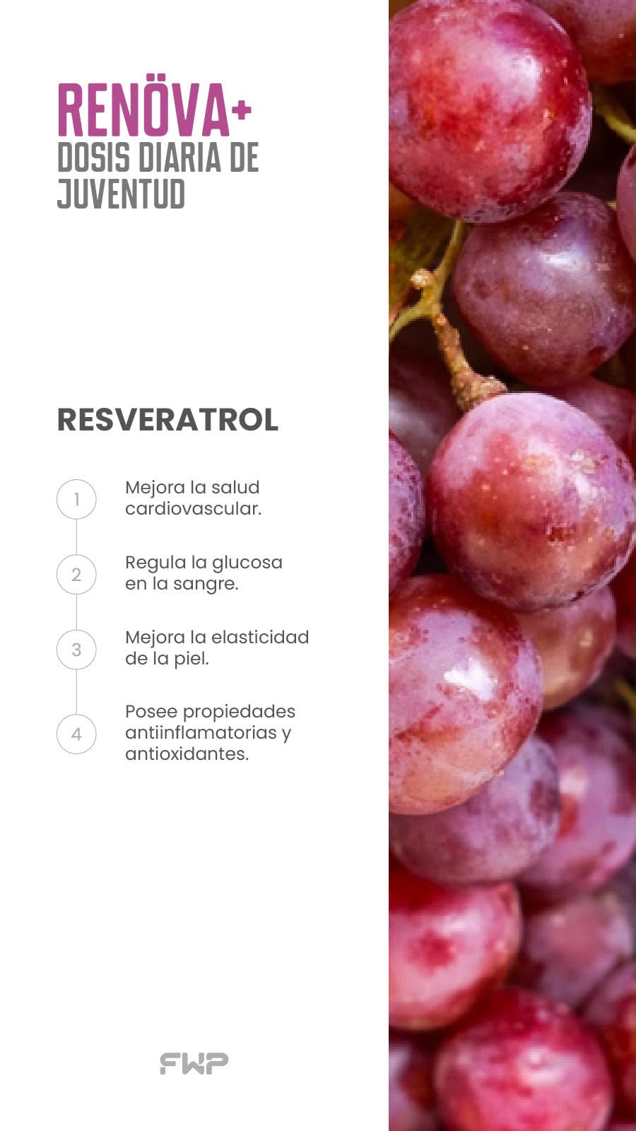 RENOVA+