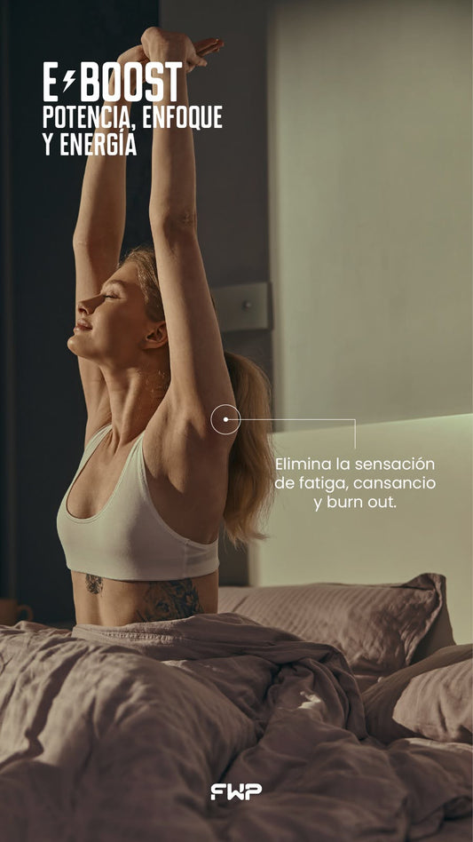 EBOOST